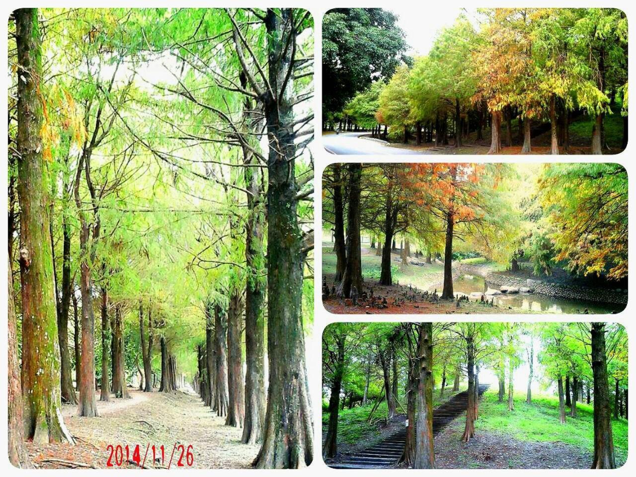 公園 B&B Luodong Exterior photo